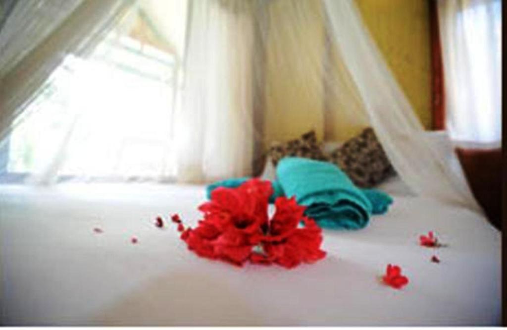 Smile Bungalow Bottle Beach Kamer foto